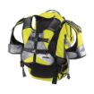 Picture of Icon Squad Backpack